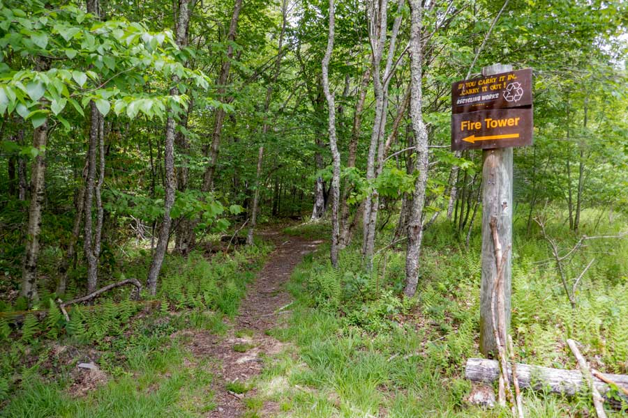 Trailhead for the Dry Brook Ridge Trail that has two side paths to Balsam lake Mountain