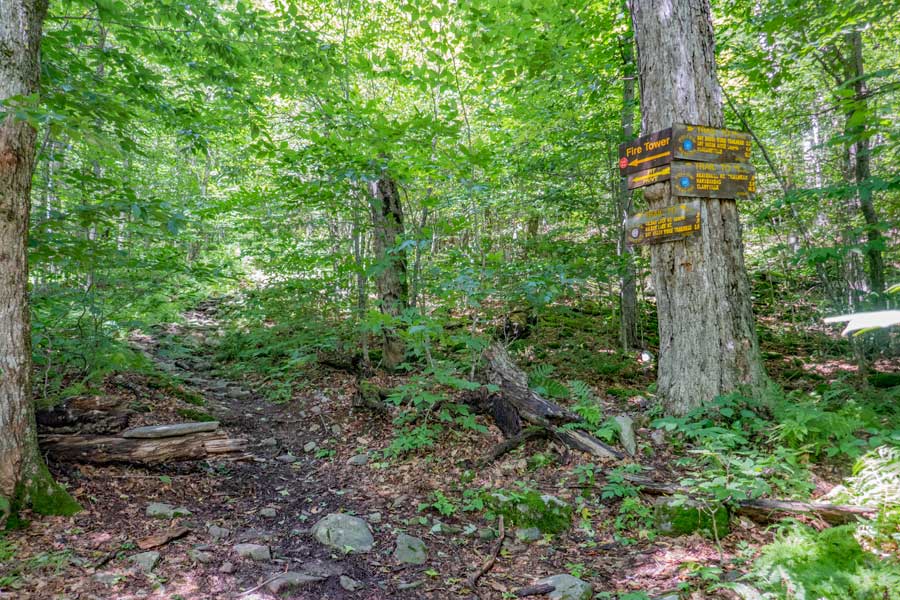 Trail Junction for Dry Brook Ridge Trail and Balsam Lake Mountain Trail