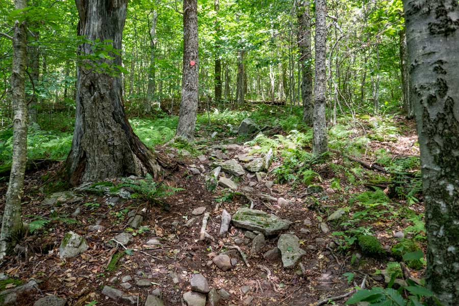 beginning of the Balsam Lake Mountain Trail