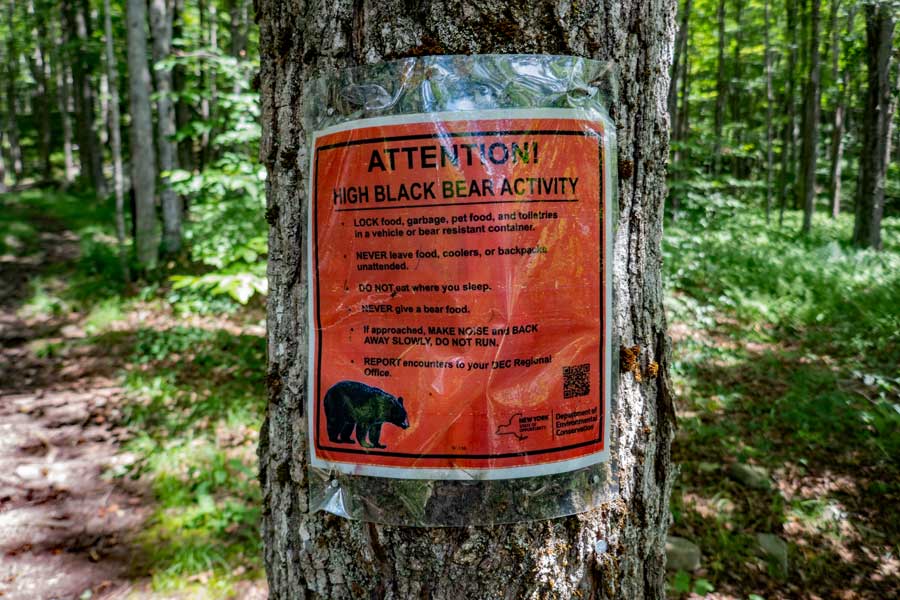 High Black Bear Activity warning sign for the Alder Lake Loop