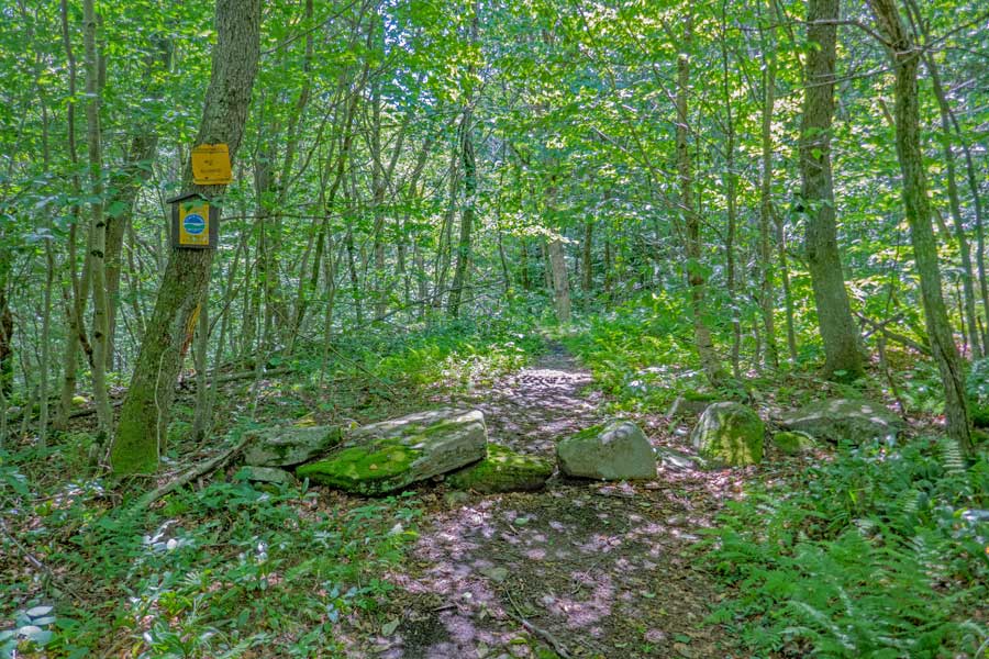 end of public land onto private property on the Dry Brook Ridge Trail