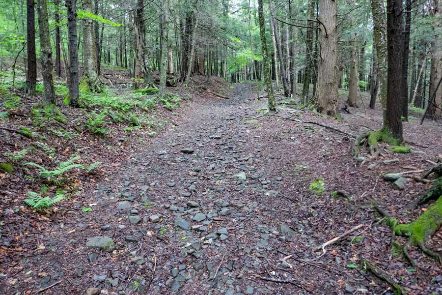 trail between the second primitive campsite and the side trail on the  Kelly Hollow Loop