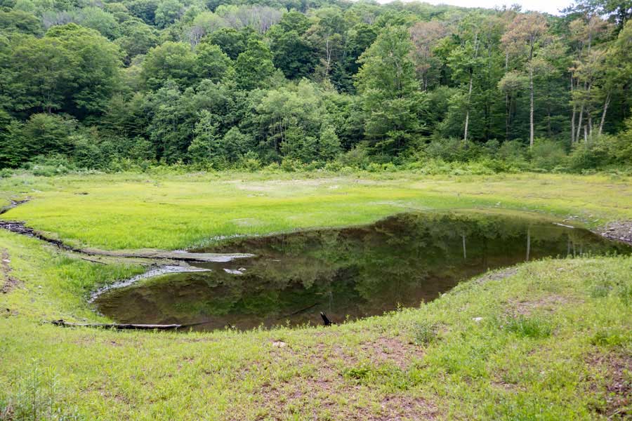 Beaver Pond on the Kelly Hollow Loop