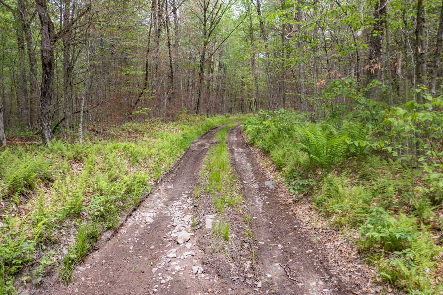 vehicle road cuts through the Neversink-HardenburghTrail