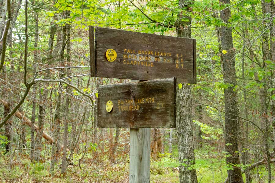 trail sign at the trail junction for the Neversink-HardenburghTrail