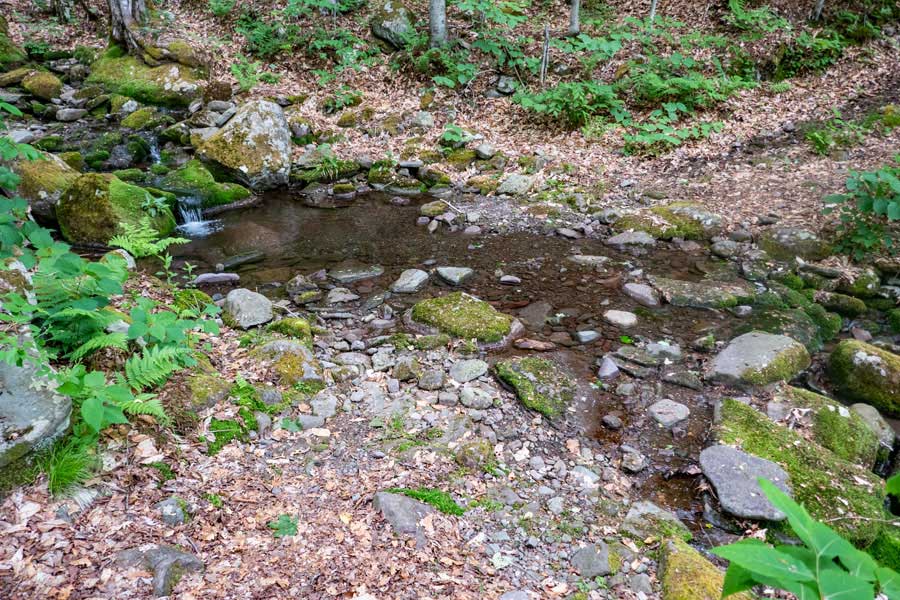 water source near the trailhead in the Big Indian Wilderness on the Neversink-HardenburghTrail