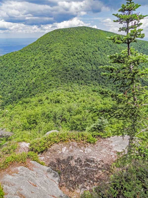 view point from the eastern side of Black Dome Mountain