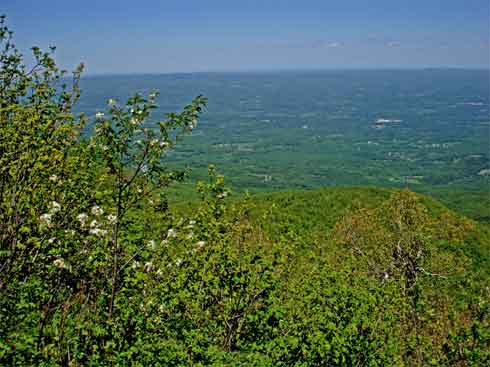view from the summit of Windham High Peak