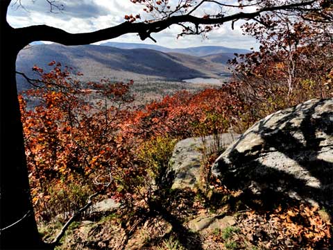 image of east kill valley in the Catskill Mountains