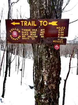 trail to camels hump