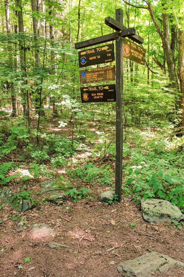 trail junction for Elm Ridge & Escarpment Trail