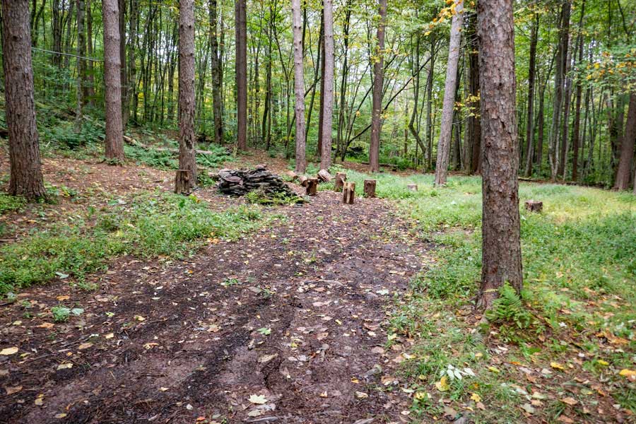 Primitive campsite #1 on the Mary Smith Hill Road. 