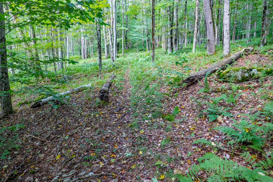 flat section of the Touch-Me-Not Trail