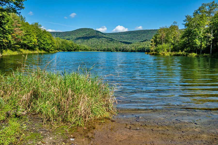 View of Big Pond from Barkaboom Road  