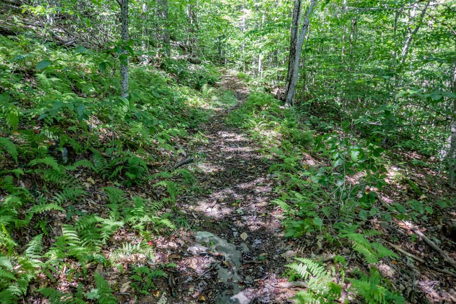 The Touch-Me-Not Trail between Big Pond and Touch-Me-Not Mountain