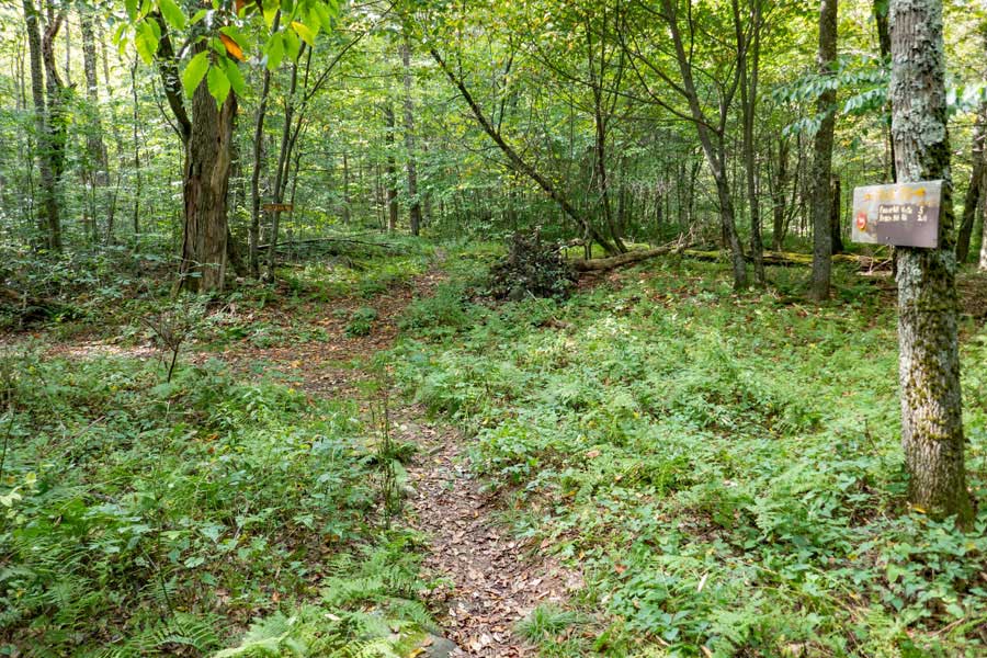 Trail Junction for the Little Pond Trail along the Touch-Me-Not Trail   