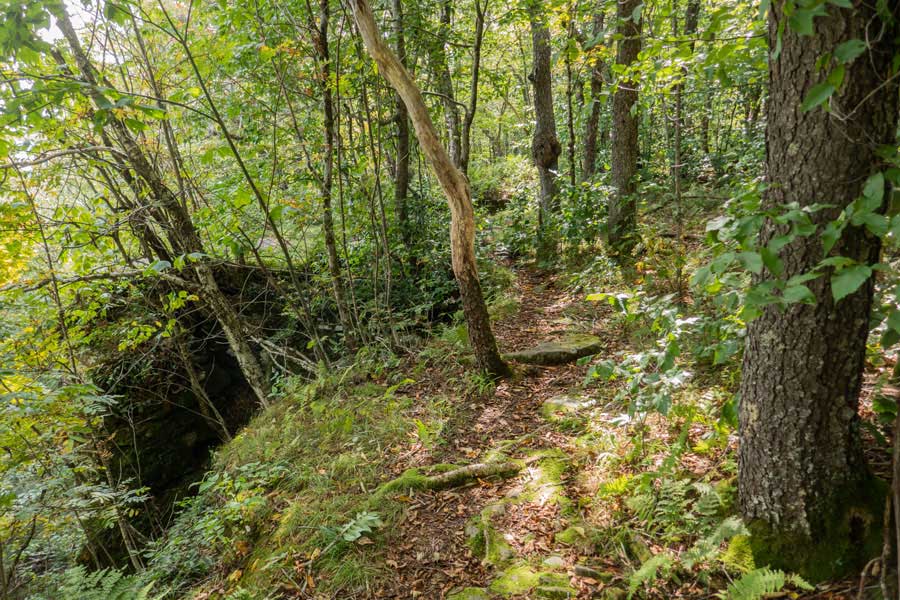 Touch-Me-Not Trail approaching the Little Pond Lookout on the Cabot Summit region  