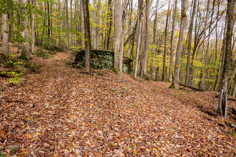 trail junction and trailhead for the Hog Hollow Trail