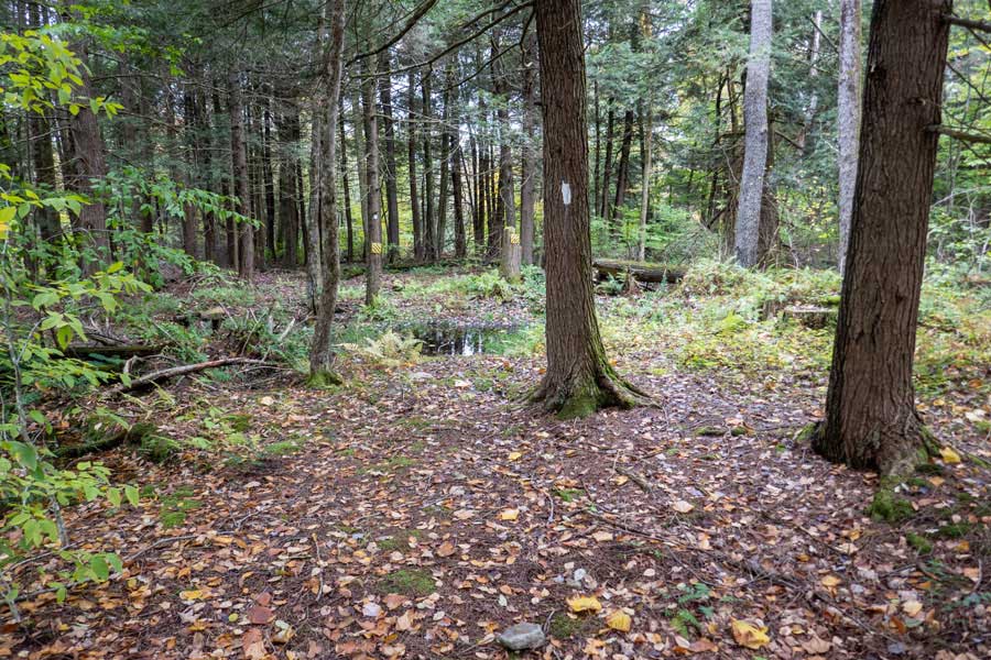 entering private property on the Hog Hollow trail