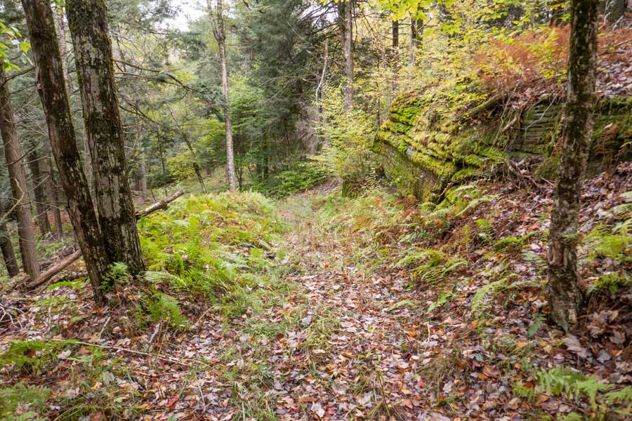 Hog Hollow Trail turns right and goes down this bluestone rock section
