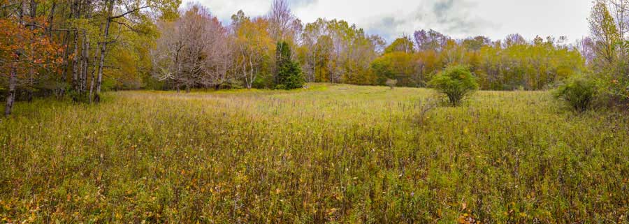 large field near the two old homesteads next to the Hog Hollow Trail   