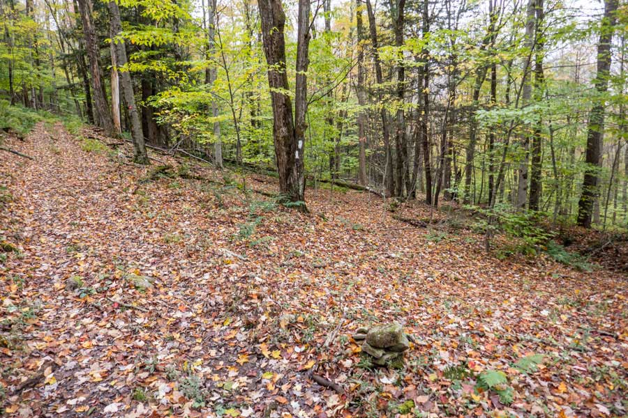 trail junction for the Finger Lakes Trail to Downsville