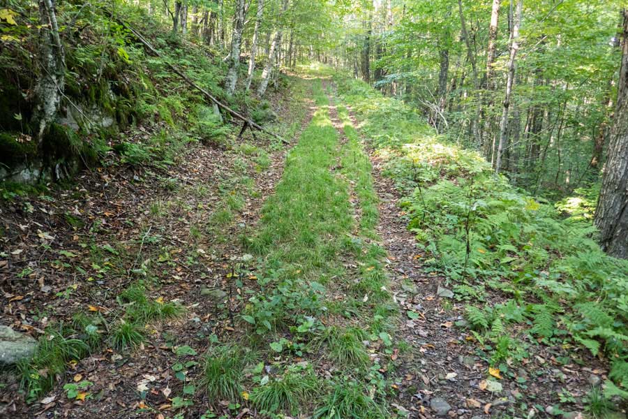 Huggins Lake Trail just before the ridge line summit.   