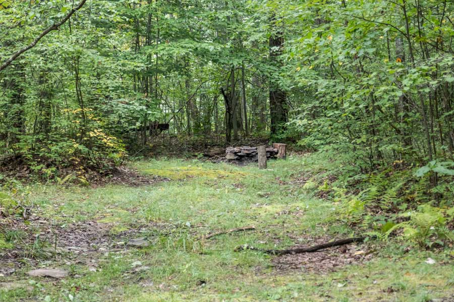 Primitive campsite #3 on the Mary Smith Hill Road.