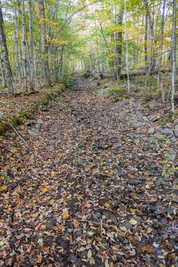 Pelnor Hollow DEC Access Road