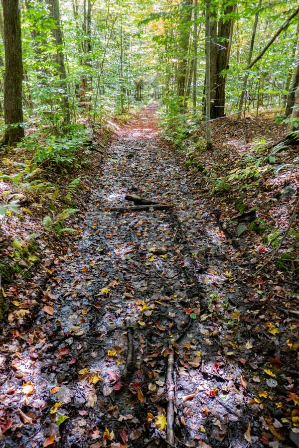 Pelnor Hollow DEC Access Road muddy section