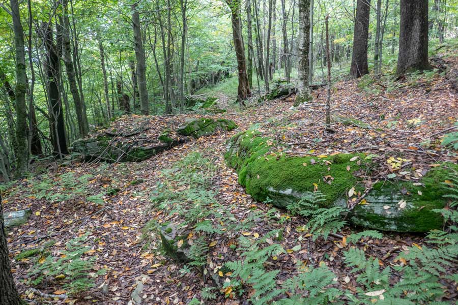trail near the summit of the Mary Smith Hill.