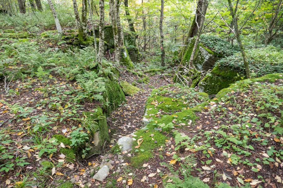 The Mary Smith Trail declines down to the Holiday-Berry Brook Road.