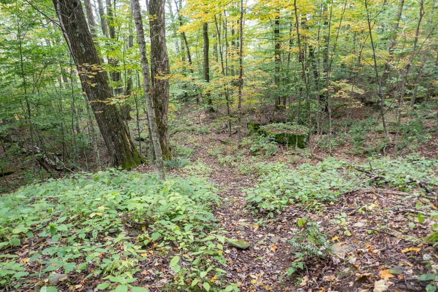 The Mary Smith Trail will leave public land to private land near the holiday-berry brook road.