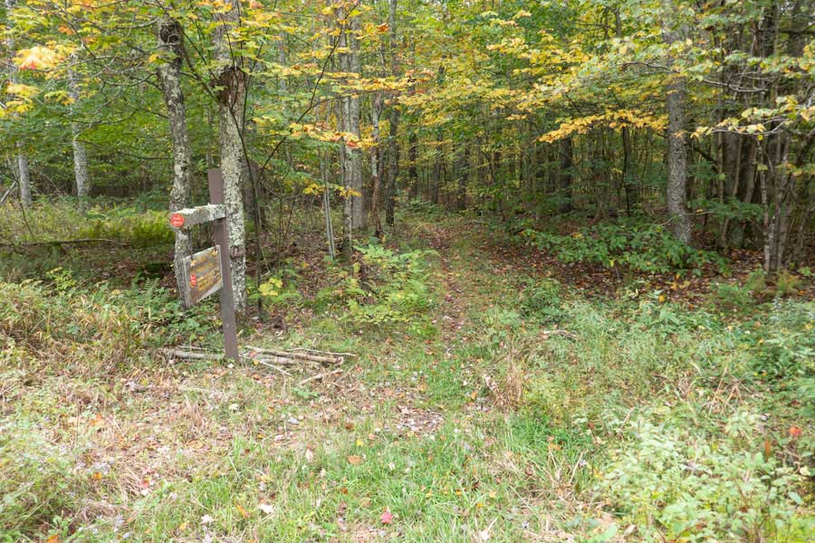 Beginning of the western section of the Mary Smith Trail.