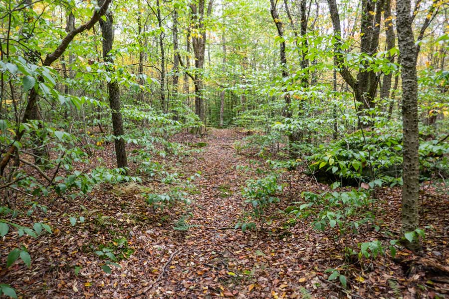 Beginning of the western section of the Mary Smith Trail