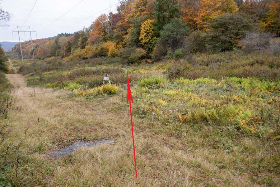cutting across the power lines at a diagonal on the Mary Smith Trail