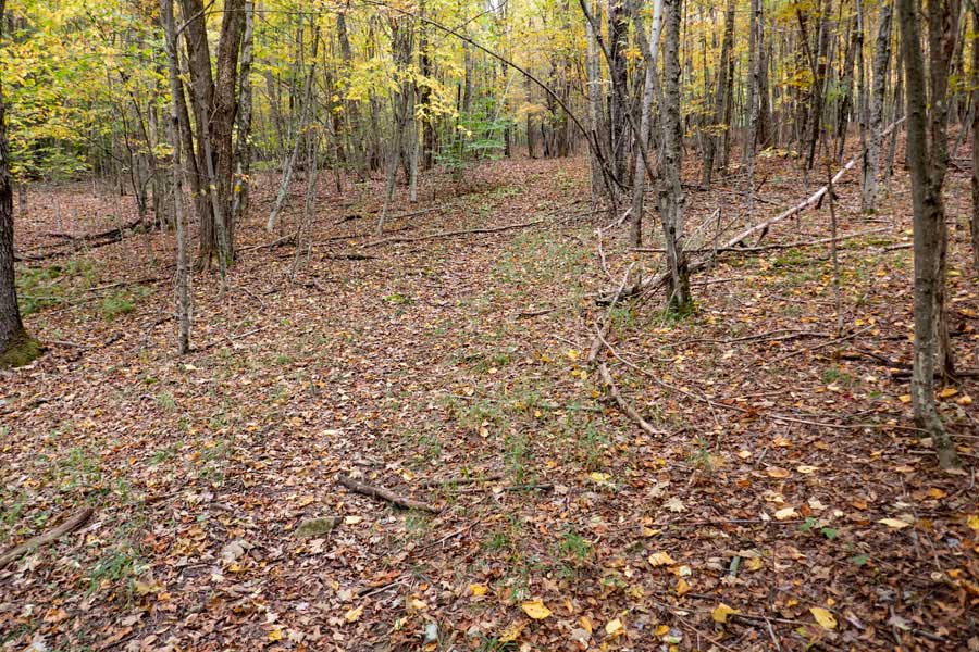 The western section of the Mary Smith Trail on the beginning of DEc public land