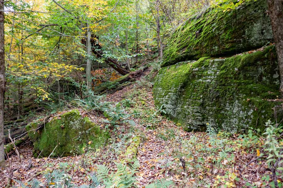 Wester section of the Mary Smith Trail will start to ascend at a steeper incline