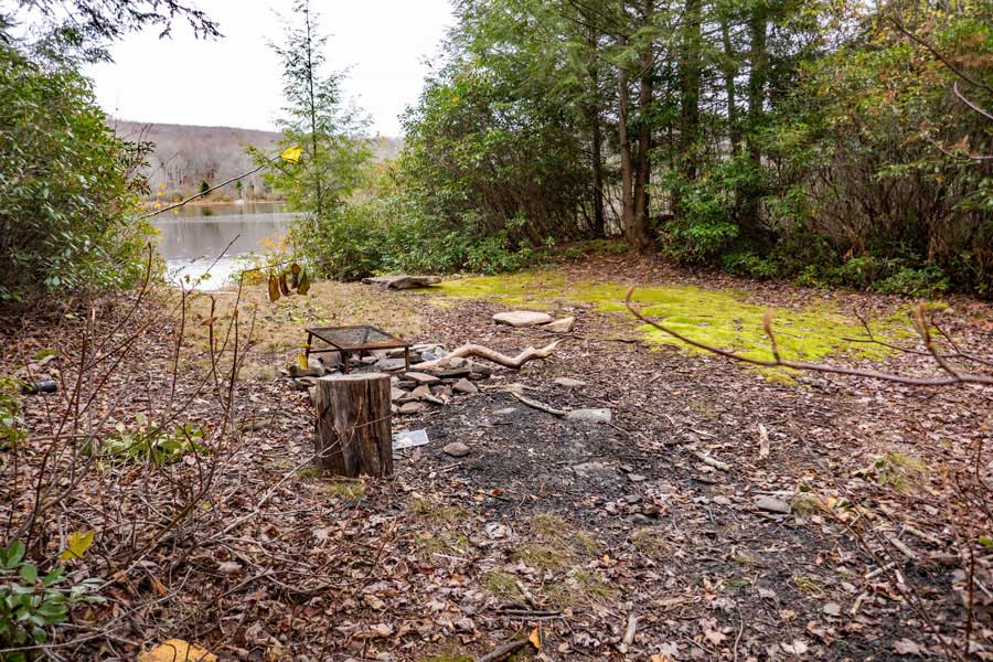campsite #6 at Mud Pond