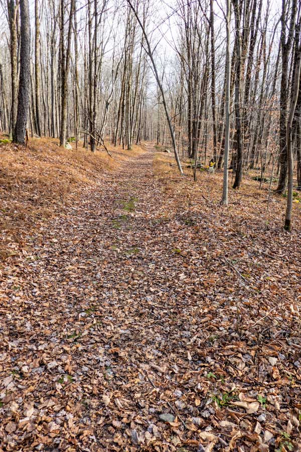 Mud Pond Trail will start to descend once you leave Mud Pond 