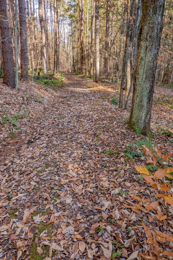 the Mud Pond Trail will descend about 400 vertical feet 