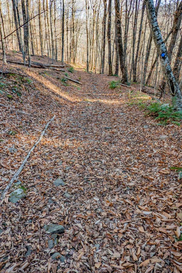 Trail makes a sharp right turn when trail levels off 