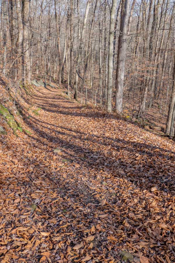 Trail makes a sharp right turn when you come to a stream