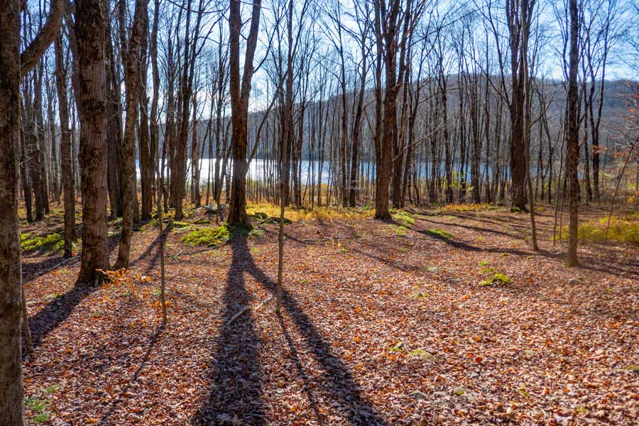 approaching Mud Pond and home foundations