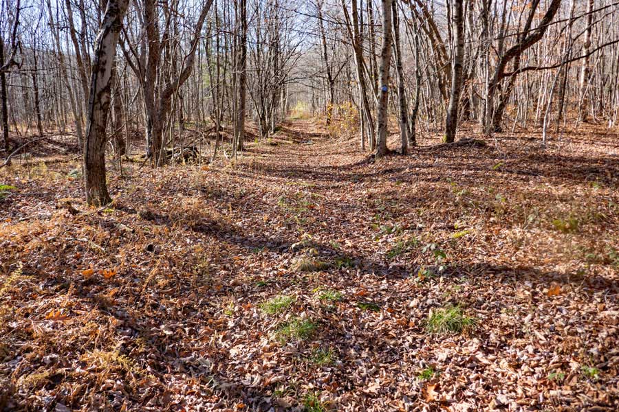 how mud pond got its name