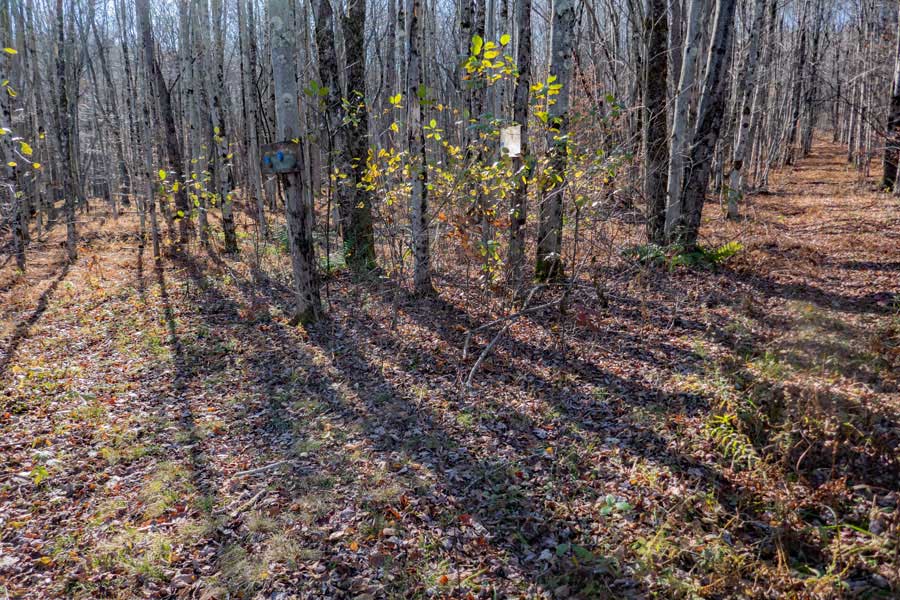 Mud Pond Trail goes left to the western side of Mud Pond