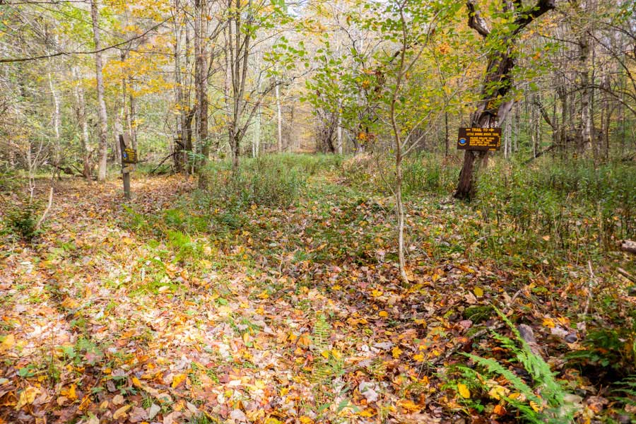 Northern Trailhead for the  Pelnor Hollow Trail