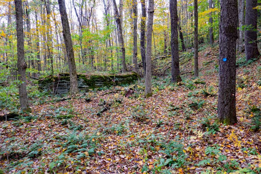 Pelnor Hollow Trail climbing up ledge to Split-Rock Lookout.