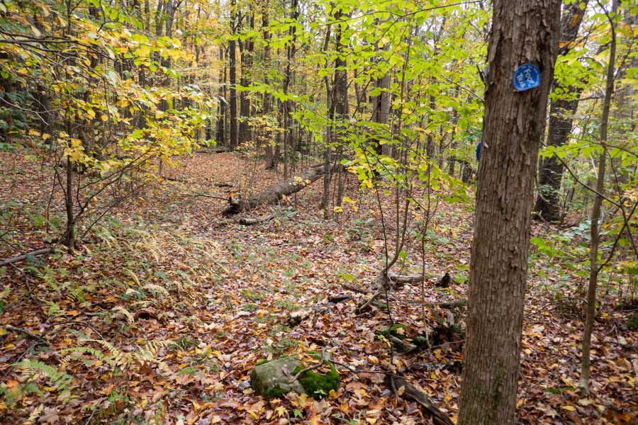 approaching Split-Rock View Point on the Pelnor Hollow Trail