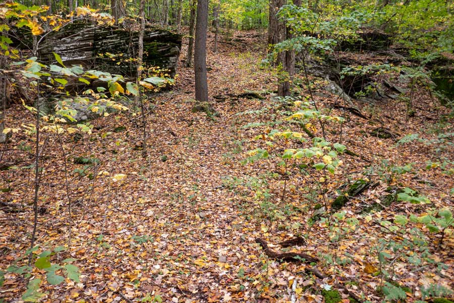the Pelnor Hollow Trail between Split Rock Lookout and Mary Smith Trailhead